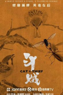 Cat & Thief (2026)